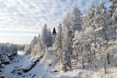 Ancient forest in Imatra clipart