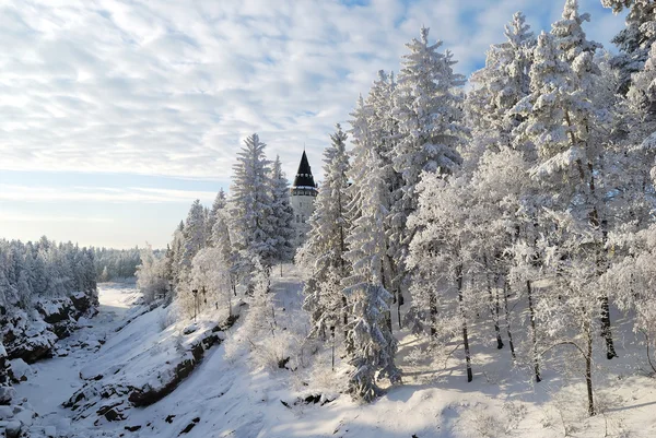 Uralter Wald in Imatra — Stockfoto