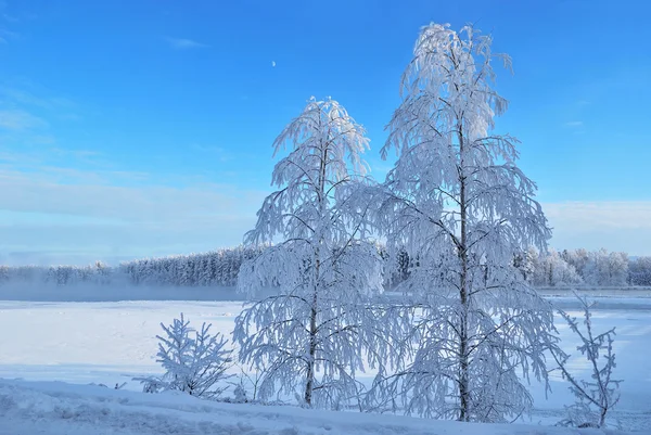 Melodia de inverno — Fotografia de Stock