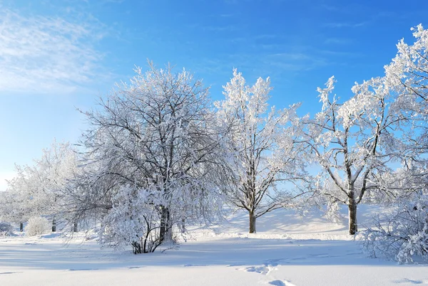 Χειμώνας στη Φινλανδία — Φωτογραφία Αρχείου