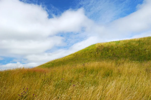 stock image Under the clouds