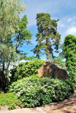 Kotka. Plants in the park Sapokka. clipart