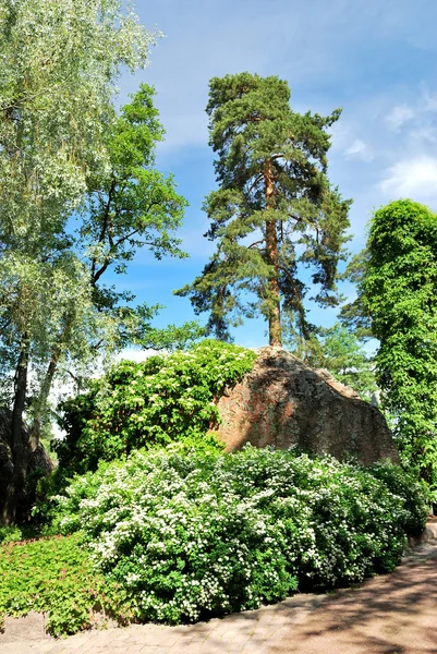 Kotka. Plantes dans le parc Sapokka . — Photo