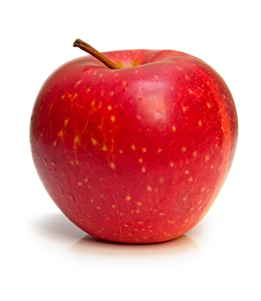 Doskonały dojrzałe jabłko — Zdjęcie stockowe