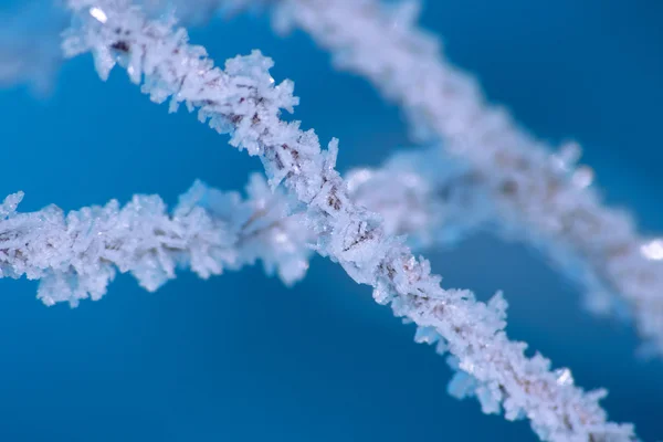 dal hoarfrost