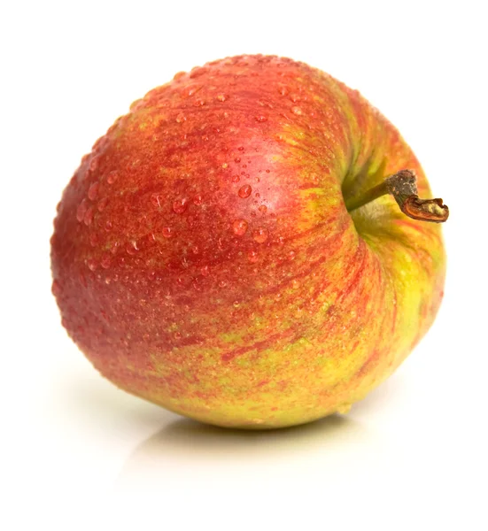苹果 3 — 图库照片