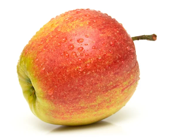 Zralé jablko — Stock fotografie