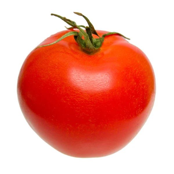 stock image Tomato