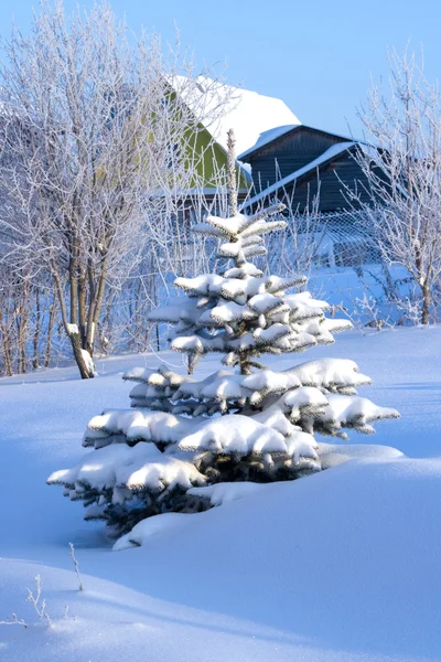 Winter landscape 2 — Stock Photo, Image