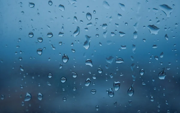 stock image Drops of rain