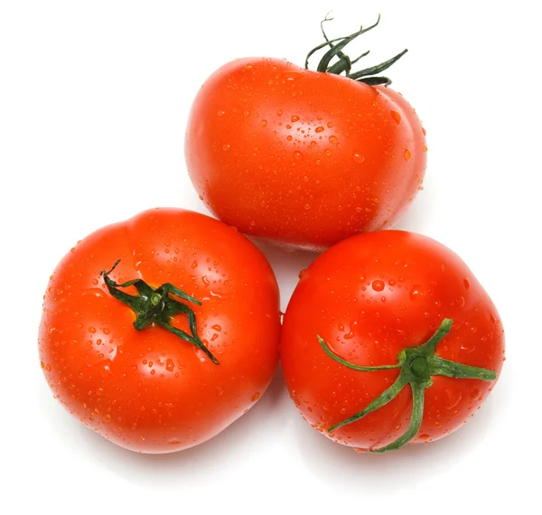 Tomates jugosos — Foto de Stock