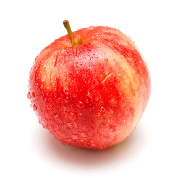 stock image Red apple 2