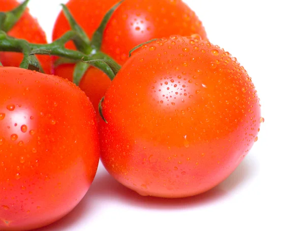 Tomates cubiertos por gotas — Foto de Stock
