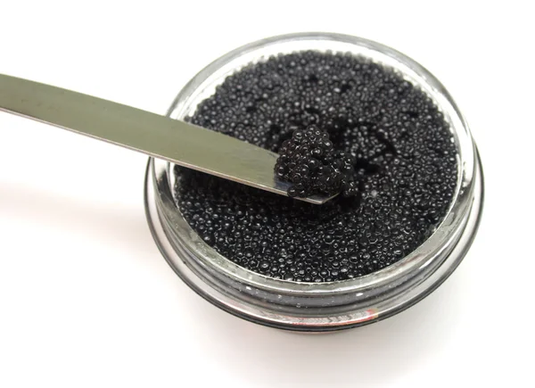 stock image Black caviar 5