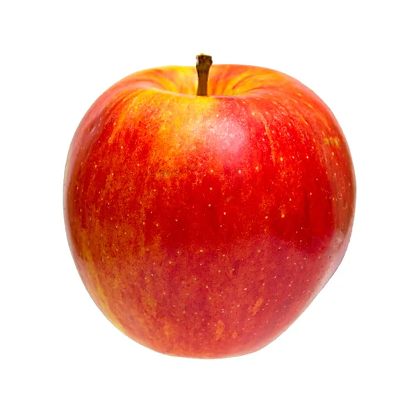 Μήλο σε λευκό Royaltyfria Stockbilder