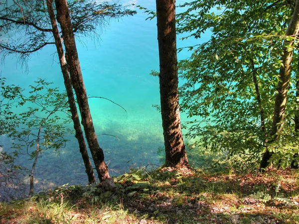 Auronzo lake, Italië — Stockfoto
