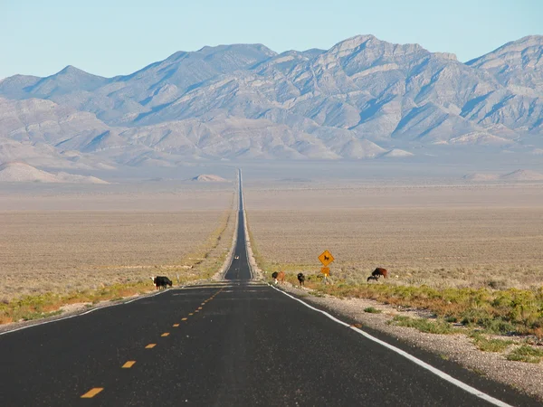 Estrada de Nevada, 2005 — Fotografia de Stock