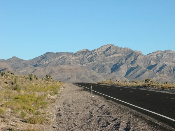 Nevada Highway, 2005 — Stockfoto