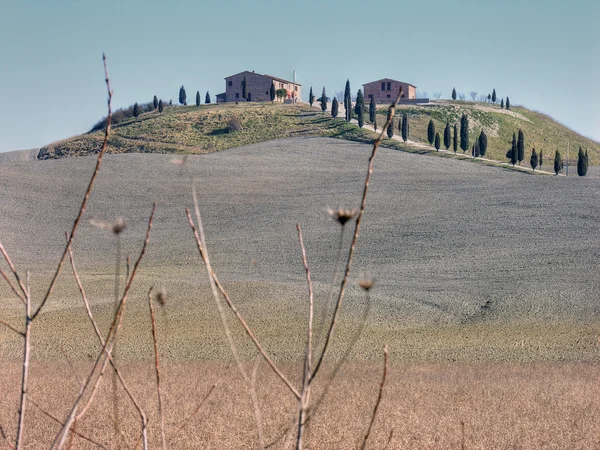 Platteland in de buurt van siena, Toscane, Italië — Stockfoto