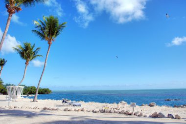 Coast of The Keys, Islamorada, Florida, clipart