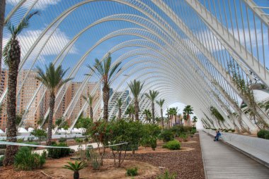 Ciudad de las Artes y las Ciencias, Valencia