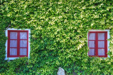 Bolgheri house, Toskana, İtalya, 20 Mart