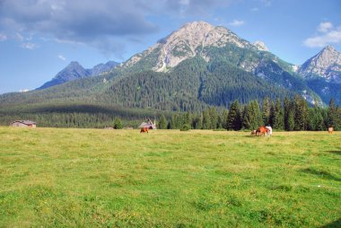 Dolomites, İtalya, 2007