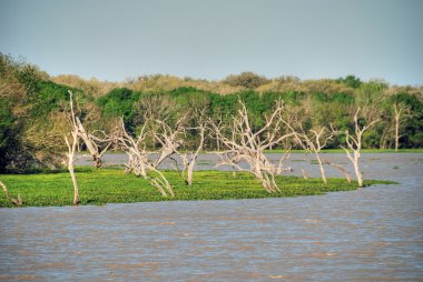 Göl kenarında galveston, texas