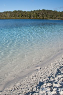 Lake Mc Kenzie, Fraser Island, Australia clipart