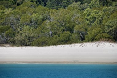 Whitehaven Plajı, queensland, Avustralya,