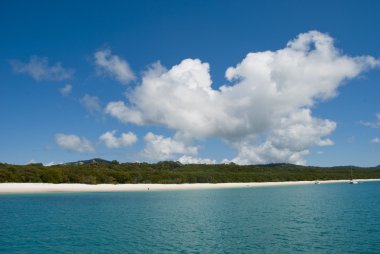 Whitehaven Plajı, queensland, Avustralya,