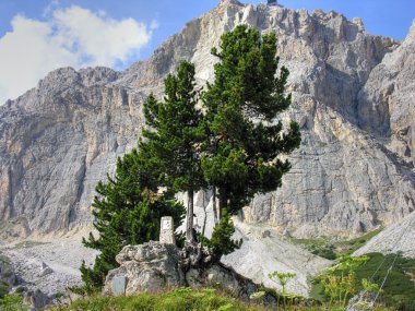 Dolomites dağlar, İtalya, yaz 2009