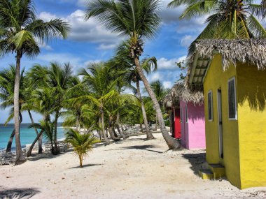 Santo Domingo, Sırp Dominicana