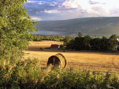 Norveç'in kırsal