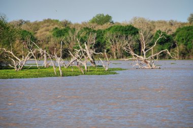 Lake near Galveston, Texas clipart