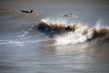 galveston, texas, 2008 yılında sörfçü