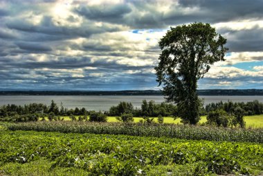 Yaz havalarda Quebec