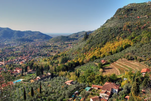 Colores del otoño en Toscana Campo , —  Fotos de Stock