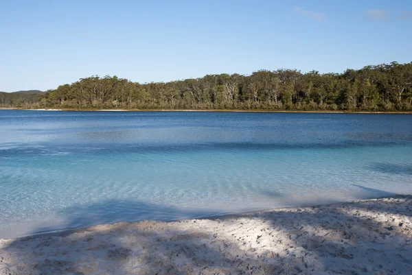 湖 mc ケンジ、フレーザー島、オーストラリア — ストック写真