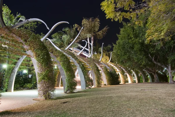 Notte nei Giardini di Brisbane, Australia — Foto Stock