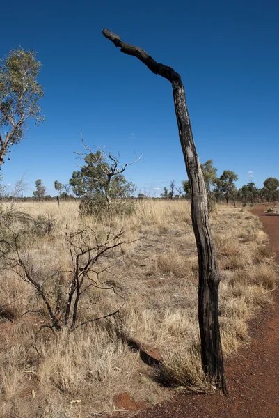 Uluru, ayers rock, Northern Territory, ein — Stockfoto