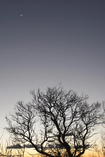 Закат в Эйерс-Рок, Северная Территория — стоковое фото