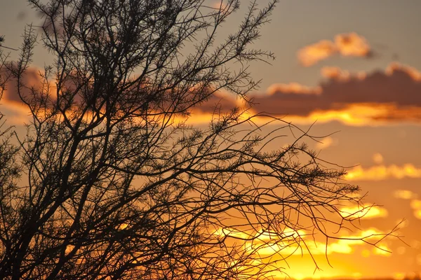 Закат в Эйерс-Рок, Северная Территория — стоковое фото