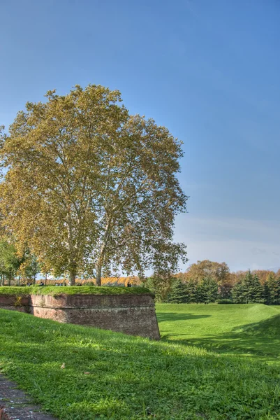 Lucca, Toskana, mimari detay ben — Stok fotoğraf