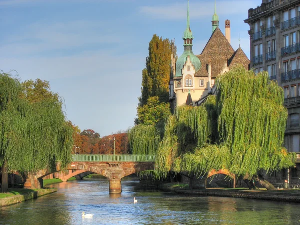 stock image Detail of Strasbourg, France, 2006