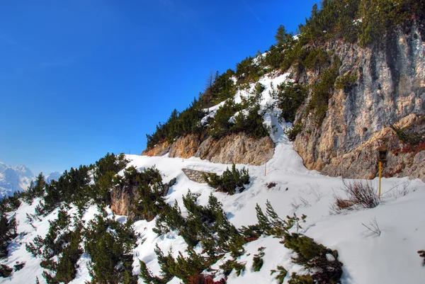 阿尔卑斯山冬天，白云岩，意大利，2007 年 — 图库照片