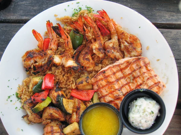 Fish Plate, Texas — Stock Photo, Image