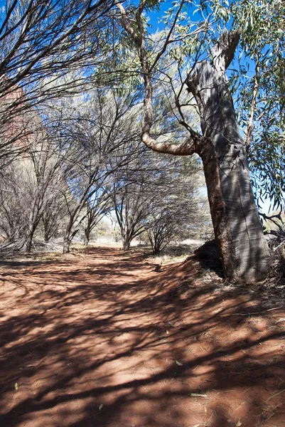Australisches Outback, nördliches Territorium — Stockfoto