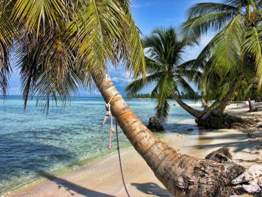 Santo Domingo, Sırp Dominicana