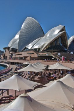 Sydney harbour, Avustralya